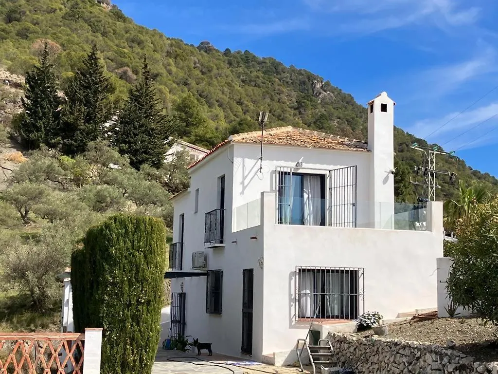 Villa Andrea Фрихилиана Дом отдыха